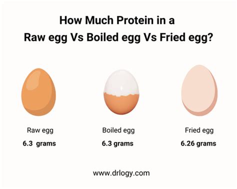 How Much Protein in one Egg, Egg White & Egg Yolk? - Drlogy