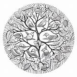 14 Nature Mandala Coloring Pages Dive Into The Zen Universe Within  sketch template