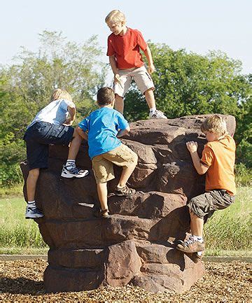 The Pointe Rock Climber - Natural-Looking Climber with Embedded Fossils ...