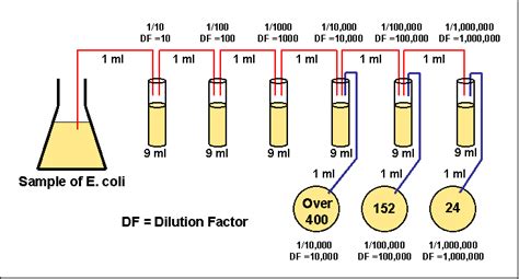 How To Calculate Cfu/Ml Formula : How do you calculate cell ...