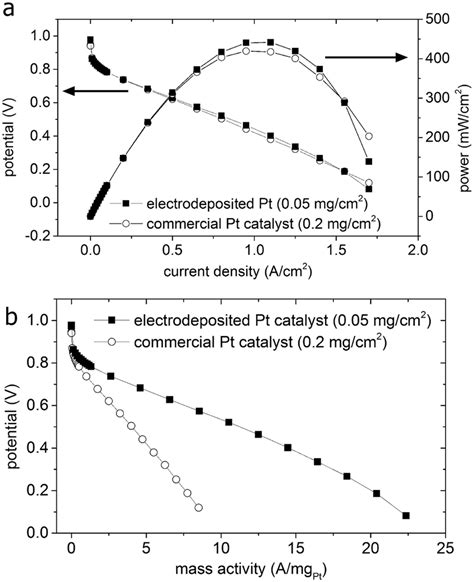 Polarization profiles for proton exchange membrane fuel cells (PEMFCs ...