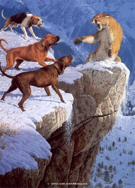 mountain lion - | Hunting art, Wildlife art, Animal art