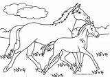 Free Printable Horse Coloring Pages For Kids sketch template