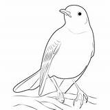 Miller Coloring Pages For Kids  Download Printable coloring sketch template