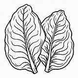 Vector Outline spinach coloring book Black And White  Premium AI sketch template