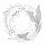 Premium Vector  Beautiful mermaid And The dolphin coloring Line Art sketch template