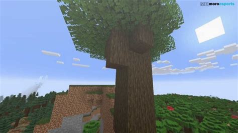 What Are All The Minecraft Tree Types? The Only Guide You Need