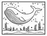 Free Printable Whale Coloring Pages For Kids  Itsy Bitsy Fun sketch template