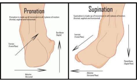 Welcome to Denton Foot and Ankle Surgery Specialists - Denton Foot ...