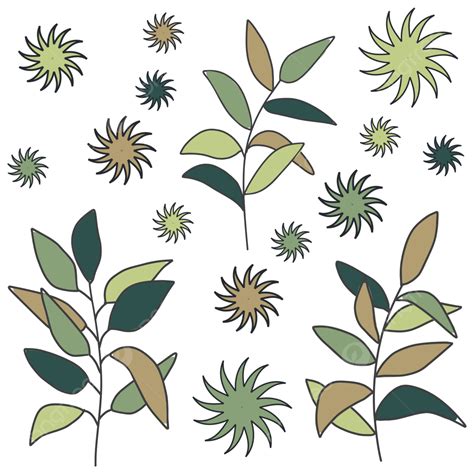 Tropical Leaves Set, Leaves, Plant, Leaf PNG and Vector with ...
