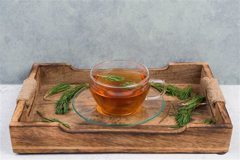 Health Benefits of Pine Needles + Pine Needle Tea Recipe – Euphoric Herbals