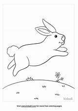 Leap Day Coloring Pages sketch template