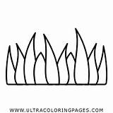 Grass Coloring Page  Ultra Pages sketch template