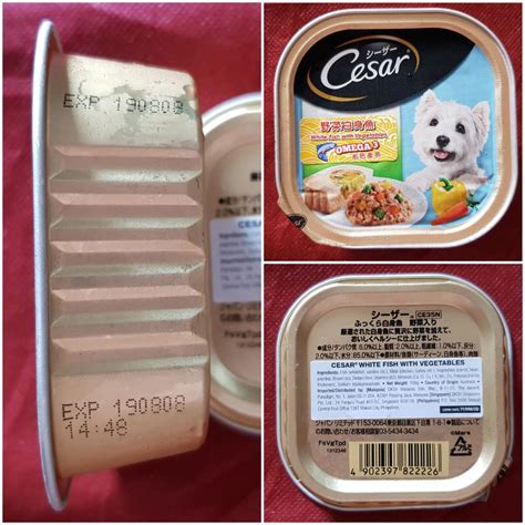 Cesar Wet food, Pet Supplies, Pet Food on Carousell