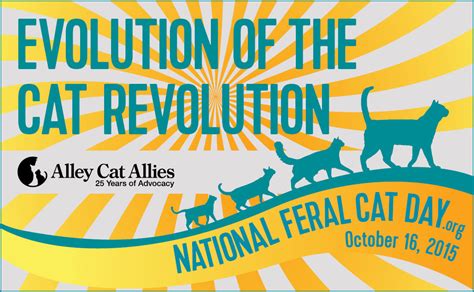 Animal Advocates Support National Feral Cat Day On Oct. 16 | LATF USA NEWS