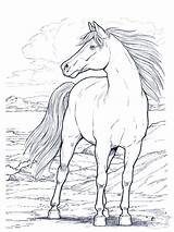 Free Printable Horse Coloring Pages For Kids sketch template