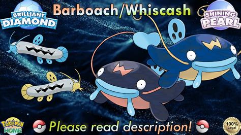 Shiny/non-shiny Barboach/whiscash 6IV Brilliant - Etsy