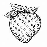 Premium Photo  Strawberry coloring Page For Kids sketch template