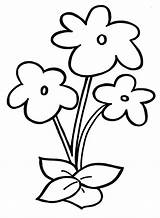 Simple Flower To Color Coloring Page  Free Printable Pages sketch template