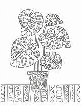 Plants Need Sunlight Page Coloring Pages sketch template