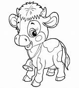 Cute Baby Cow Coloring Pages Printable  Free Coloring Sheet Printables sketch template