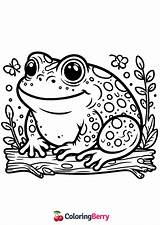 35 Toads Coloring Pages Free PDF Printables sketch template