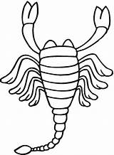 Scorpion 2 Coloring Page  Free Printable Pages For Kids sketch template