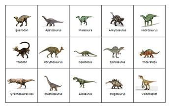 Are There Any Omnivorous Dinosaurs - ABIEWBR