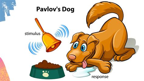 What Year Did Pavlov Do The Dog Experiment