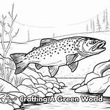 Brook Trout Coloring Pages  Free & Printable sketch template