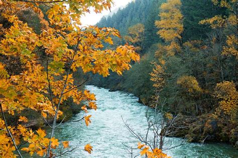 10 Best Camping Spots in Willamette National Forest, Oregon