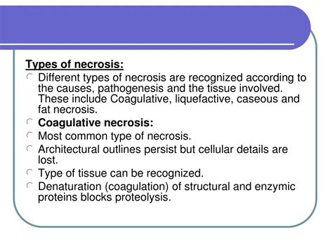 PPT - Necrosis is death of cells and tissues in the living animal ...