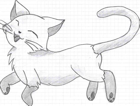 Easy kitty cat drawing - entertainmentasse