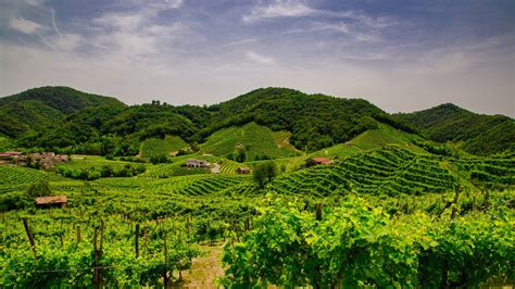 Prosecco - Italy's Sparkling Wine Region