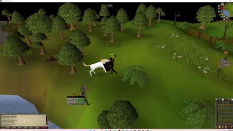 Where to Find A Unicorn in OSRS - YouTube