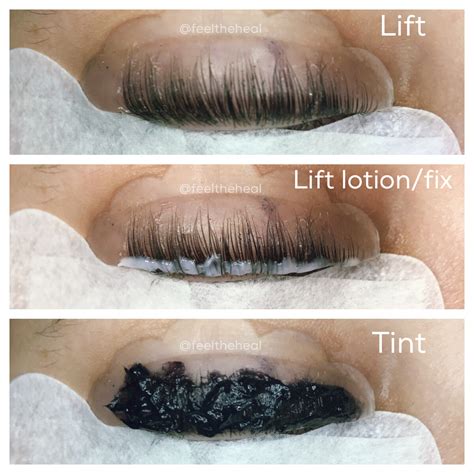 Last lift and tint process with shields by @feeltheheal Eyelash Perm ...