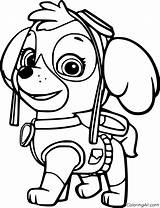 Skye Patrol Paw Coloring Printable Pages Para Canina Colorir Imprimir  sketch template