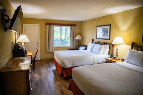 3 Benefits of Our Pet Friendly Hotel in Sevierville TN