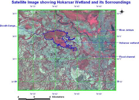 Satellite image showing Hokersar Wetland and its surroundings ...