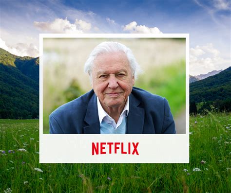 Glen Hansen: David Attenborough Climate Change Documentary Netflix