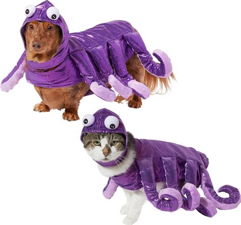 FRISCO Octopus Dog & Cat Costume, Medium - Chewy.com