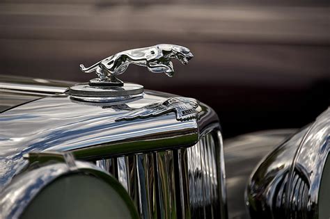 Jaguar Hood Ornament 1 Photograph by Dave Koontz - Fine Art America