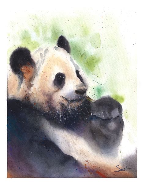 Panda Watercolor at PaintingValley.com | Explore collection of Panda ...