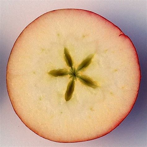 Apple-half – Herbidacious