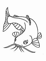 Catfish coloring Pages  Fish Page Coloring Dinosaur sketch template