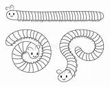Millipede Coloring Pages sketch template