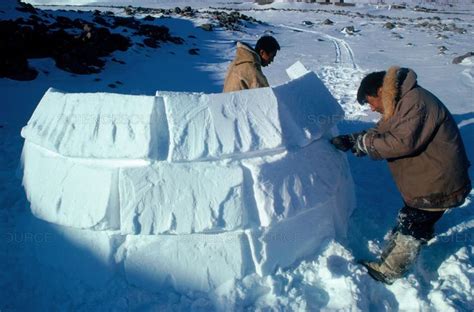 Science Source - Inuit building an Igloo in 2021 | Igloo building, Inuit, Igloo