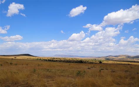 File:Maasai-Mara-Typical-Scenery.JPG - Wikimedia Commons