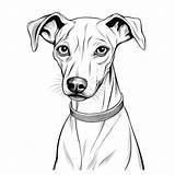Premium AI Image  Whippet Kid Art Charm Cute coloring Book Kawaii Line sketch template