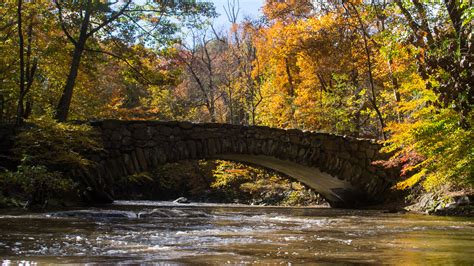 Rock Creek Park showing off fall colors : r/washingtondc